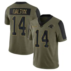 Men's Andy Dalton Carolina Panthers No.14 Limited 2021 Salute To Service Jersey - Olive