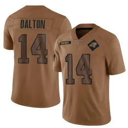 Men's Andy Dalton Carolina Panthers No.14 Limited 2023 Salute To Service Jersey - Brown