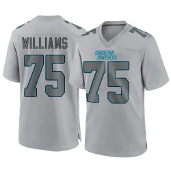 Men's DeShawn Williams Carolina Panthers No.75 Game Atmosphere Fashion Jersey - Gray