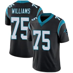 Youth DeShawn Williams Carolina Panthers No.75 Limited Team Color Vapor Untouchable Jersey - Black