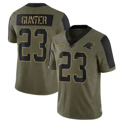 Youth LaDarius Gunter Carolina Panthers No.23 Limited Ladarius Gunter 2021 Salute To Service Jersey - Olive